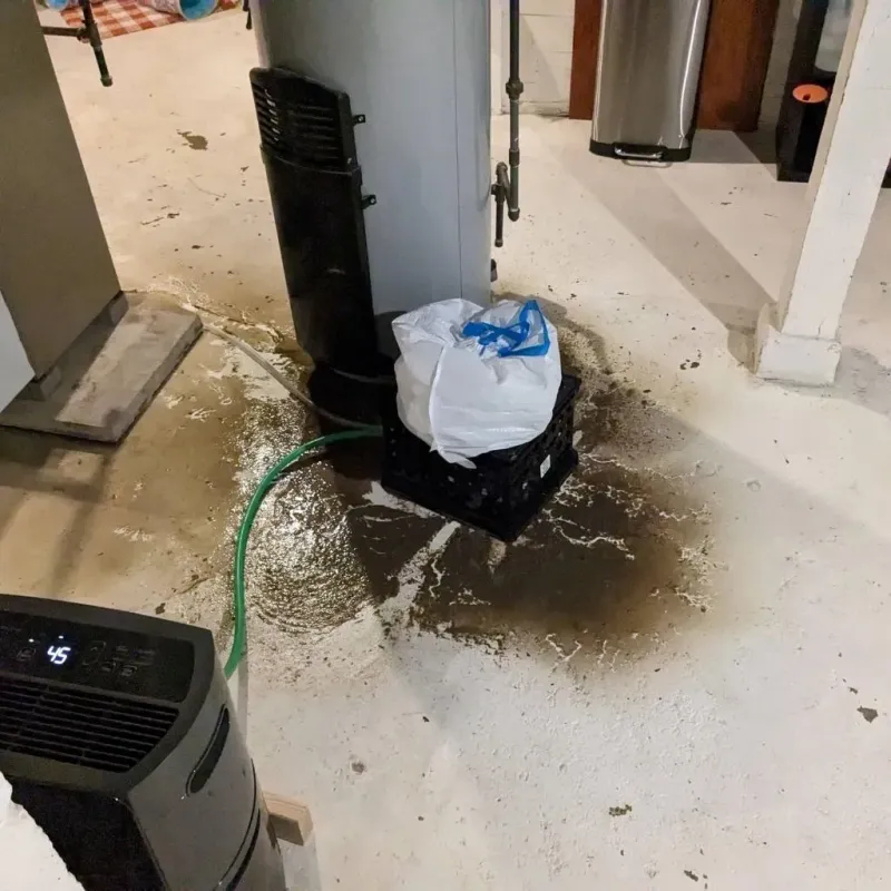 Sewage Backup Cleanup Service in Winfield, IA
